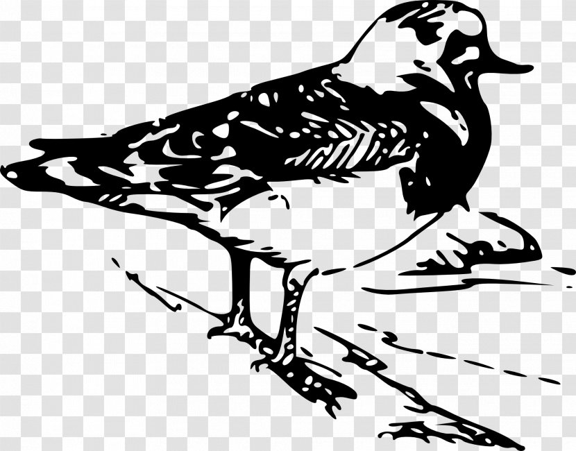 Bird Clip Art Tanagers Vector Graphics - Drawing Of Australia Birds Transparent PNG