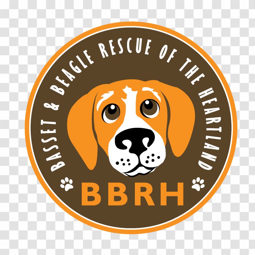 Puppy Beagle Basset Hound Soft-coated Wheaten Terrier - Rescue Transparent PNG
