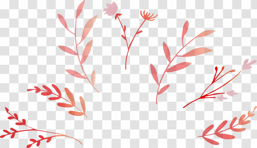 Floral Design Transparent PNG