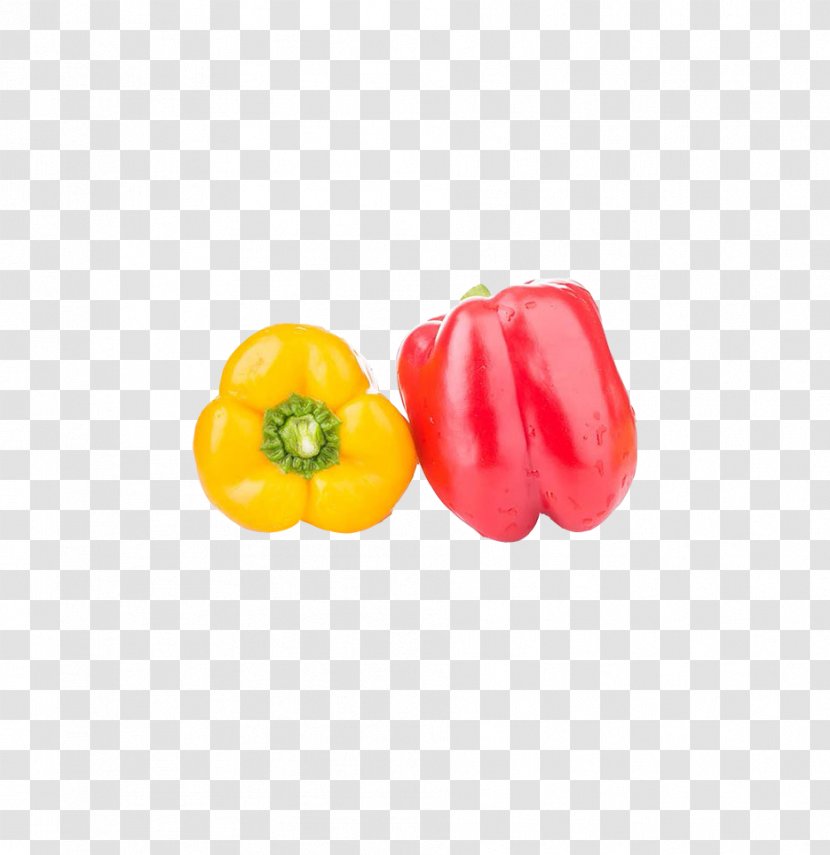 Habanero Bell Pepper Capsicum Frutescens Chili Vegetable - Colorful Transparent PNG