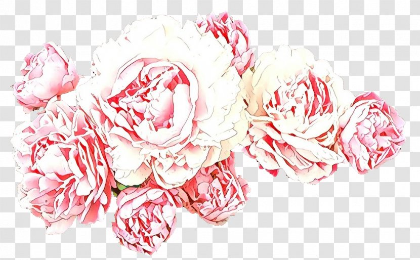 Garden Roses Cut Flowers Flower Bouquet - Carnation Transparent PNG