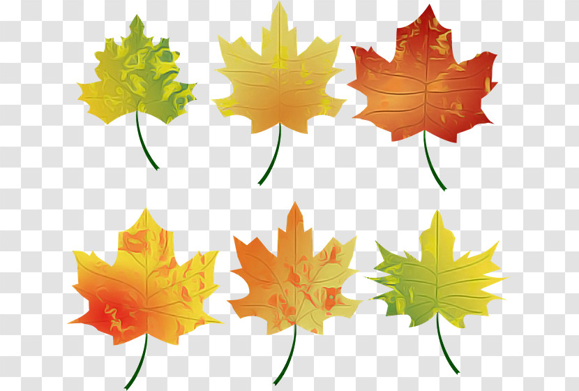 Maple Leaf Transparent PNG