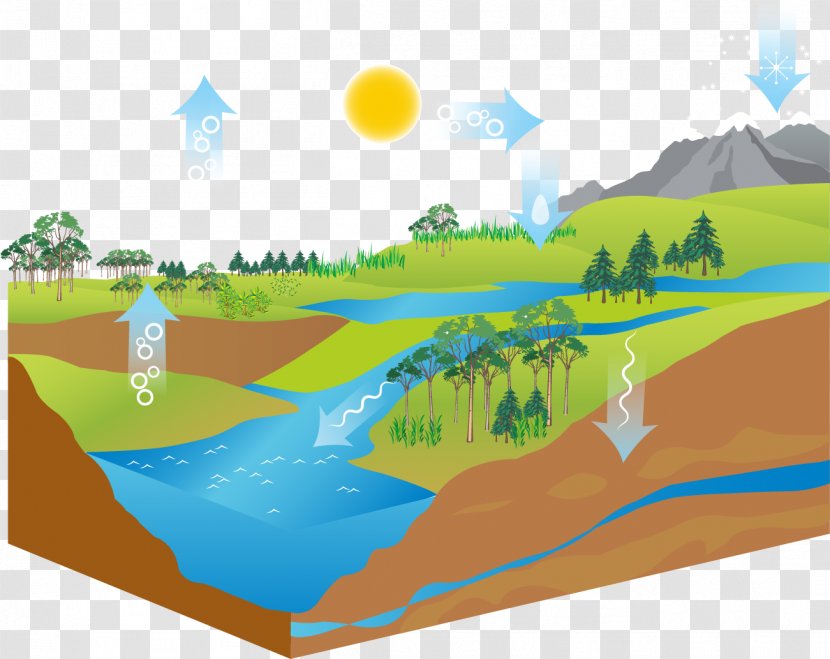 Diagram Water Cycle Stock Illustration - Ecoregion - Air Ecosystem Transparent PNG