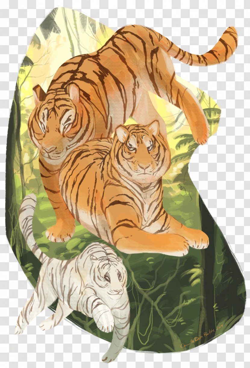 Tiger Lion Drawing Line Art - Carnivoran Transparent PNG