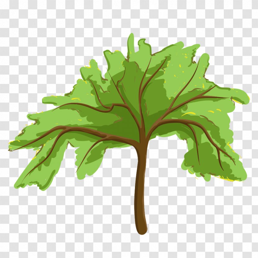 Vector Graphics Clip Art Done Right Tree Service, LLC Stock Illustration - Vascular Plant - Bonsai Background Transparent PNG