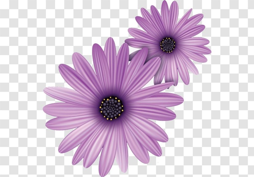 Clip Art Vector Graphics Free Content Illustration - Flowering Plant - Purple Flowers Image Transparent PNG