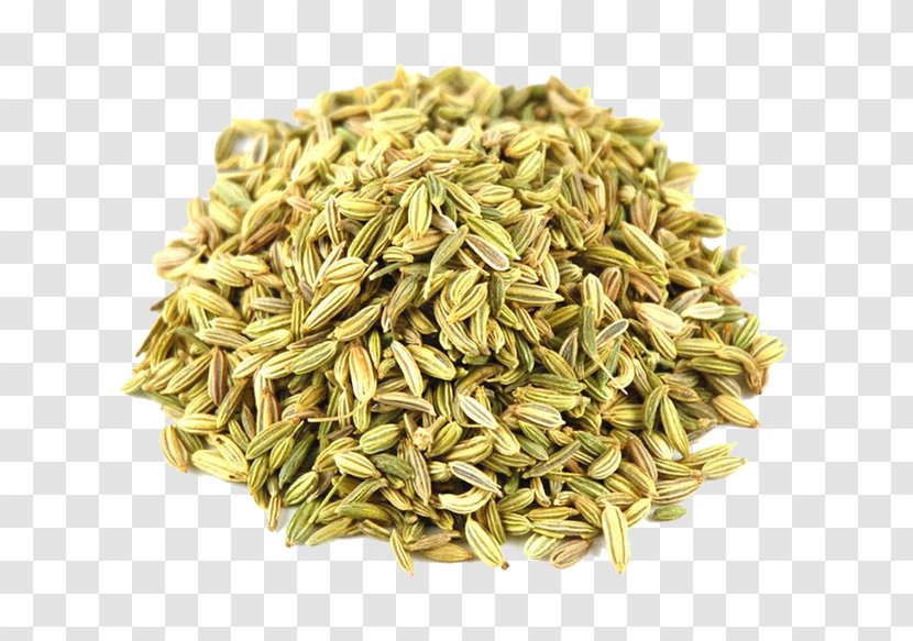 Fennel Seed Anise Organic Food Herb - Superfood Transparent PNG