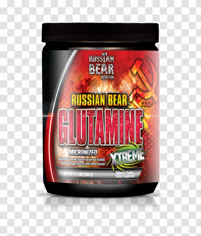 Dietary Supplement Russian Bear Glutamine Bodybuilding - Creatine Transparent PNG