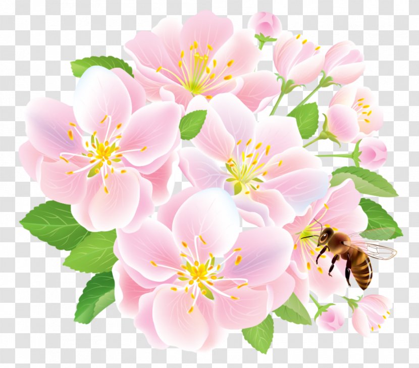 Flower Delivery Floristry Studio Ghibli - Rose Family - Pink Spring Flowers With Bee Transparent PNG
