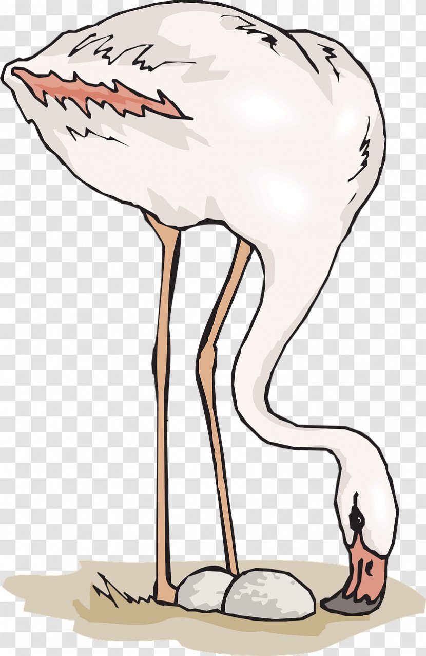 T-shirt Flamingo Illustration - Beak - Embrace Eating Ostrich Transparent PNG