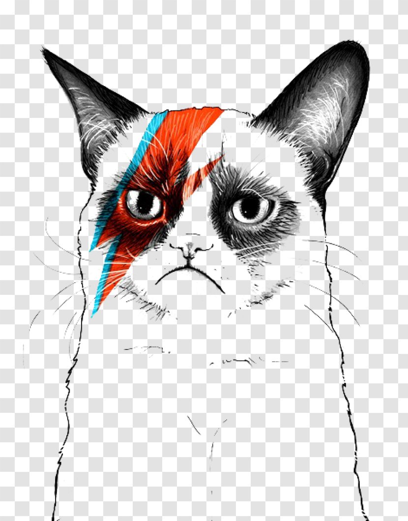 Grumpy Cat Musician Artist - Cartoon - Cats Transparent PNG