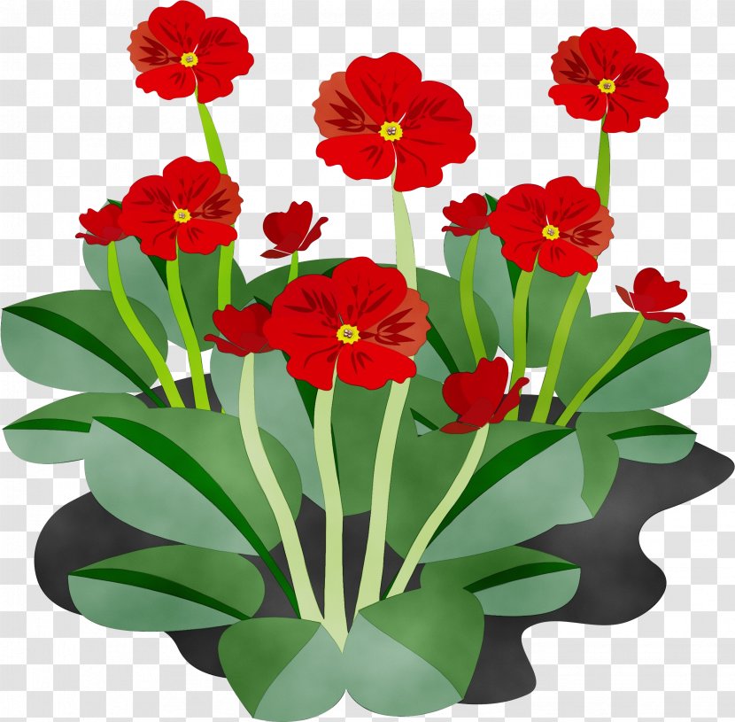 Flower Flowering Plant Petal Clip Art - Wet Ink - Herbaceous Houseplant Transparent PNG