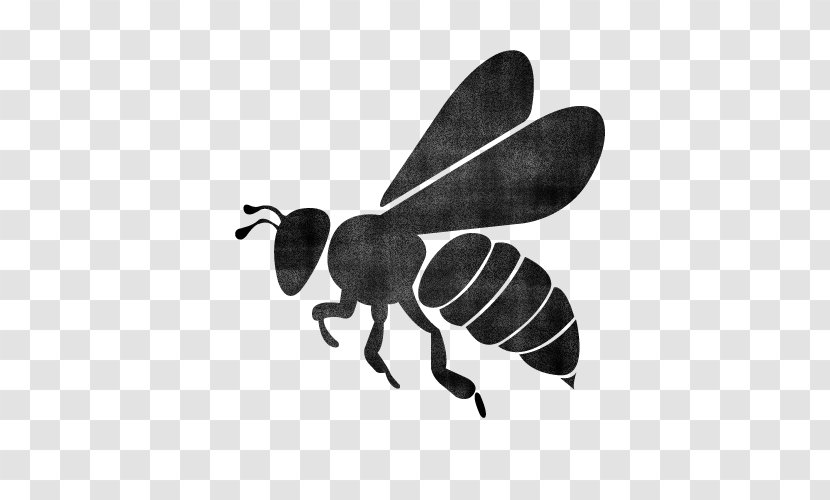 European Dark Bee Silhouette Queen - Black And White Transparent PNG