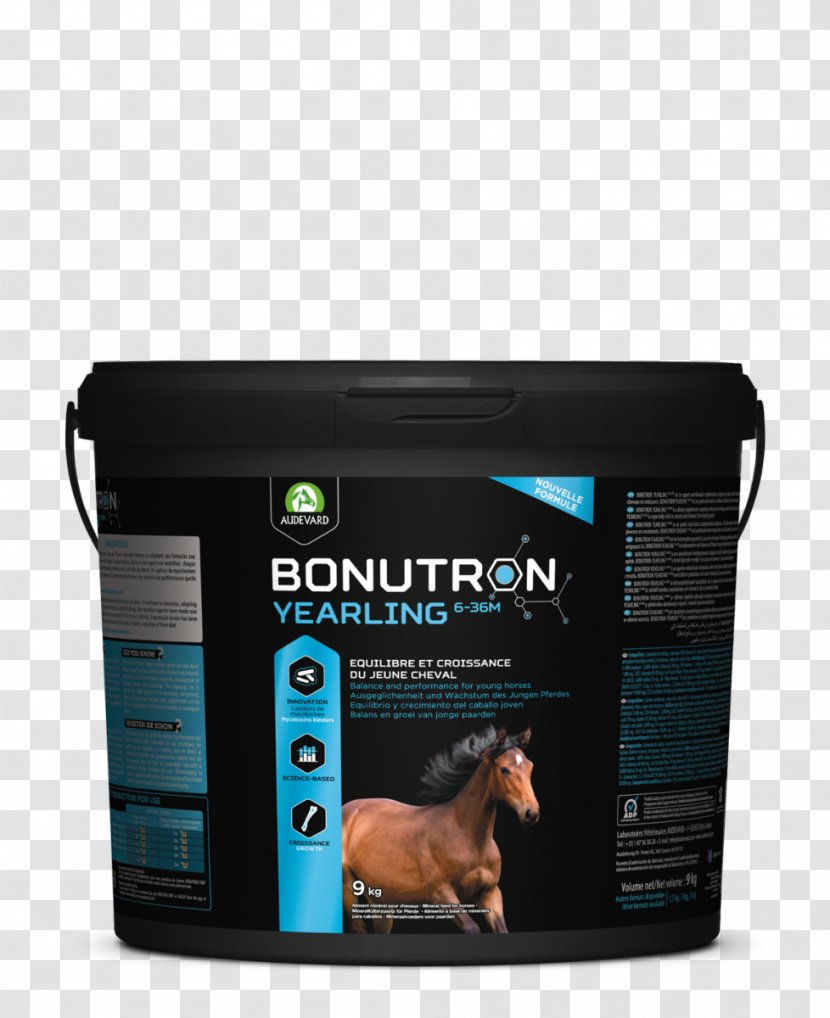 Sport Horse Dietary Supplement Stallion Pony - Trot Transparent PNG