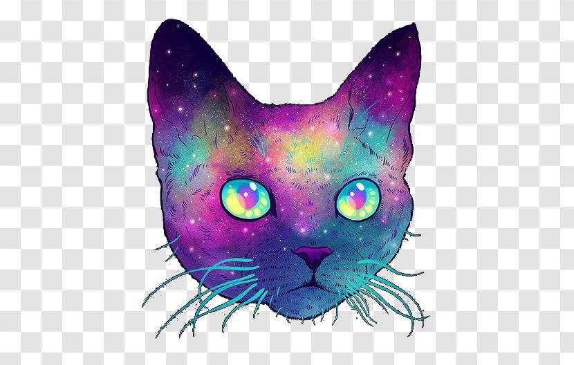 Devon Rex Sphynx Cat Kitten - Whiskers - Mid Ad Transparent PNG