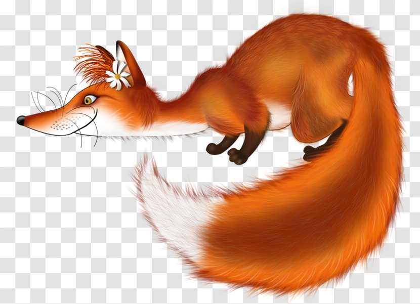 Red Fox Clip Art - Claw - Zorro Transparent PNG