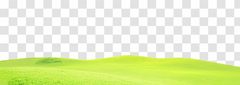 Green Grass Background - Landscape - Plain Plant Transparent PNG