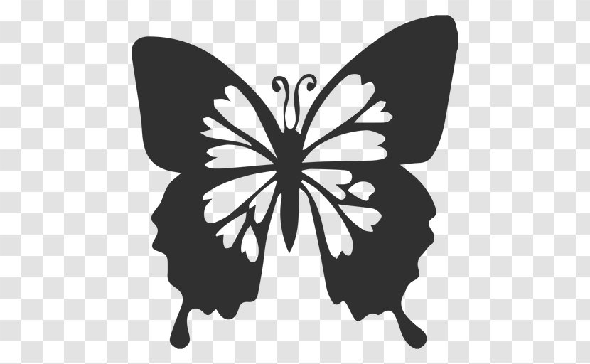 Ulysses Butterfly Illustration - Monochrome Photography - Vector Transparent PNG