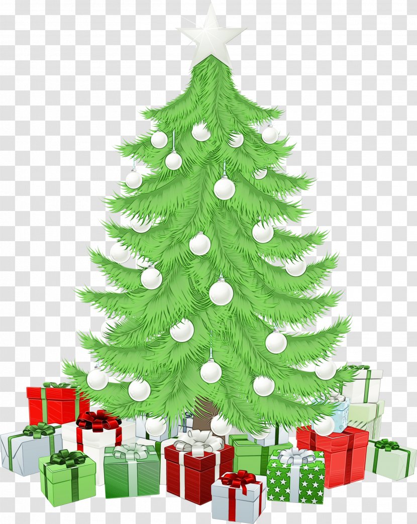 Christmas Tree - Watercolor - Fir Eve Transparent PNG