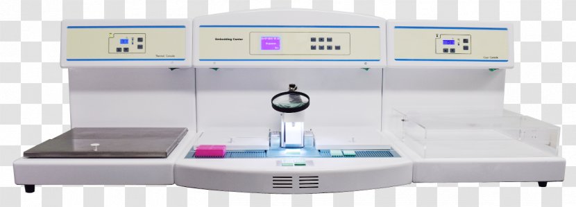 Histology Tissue Histopathology Function Embedding - Diagram Transparent PNG