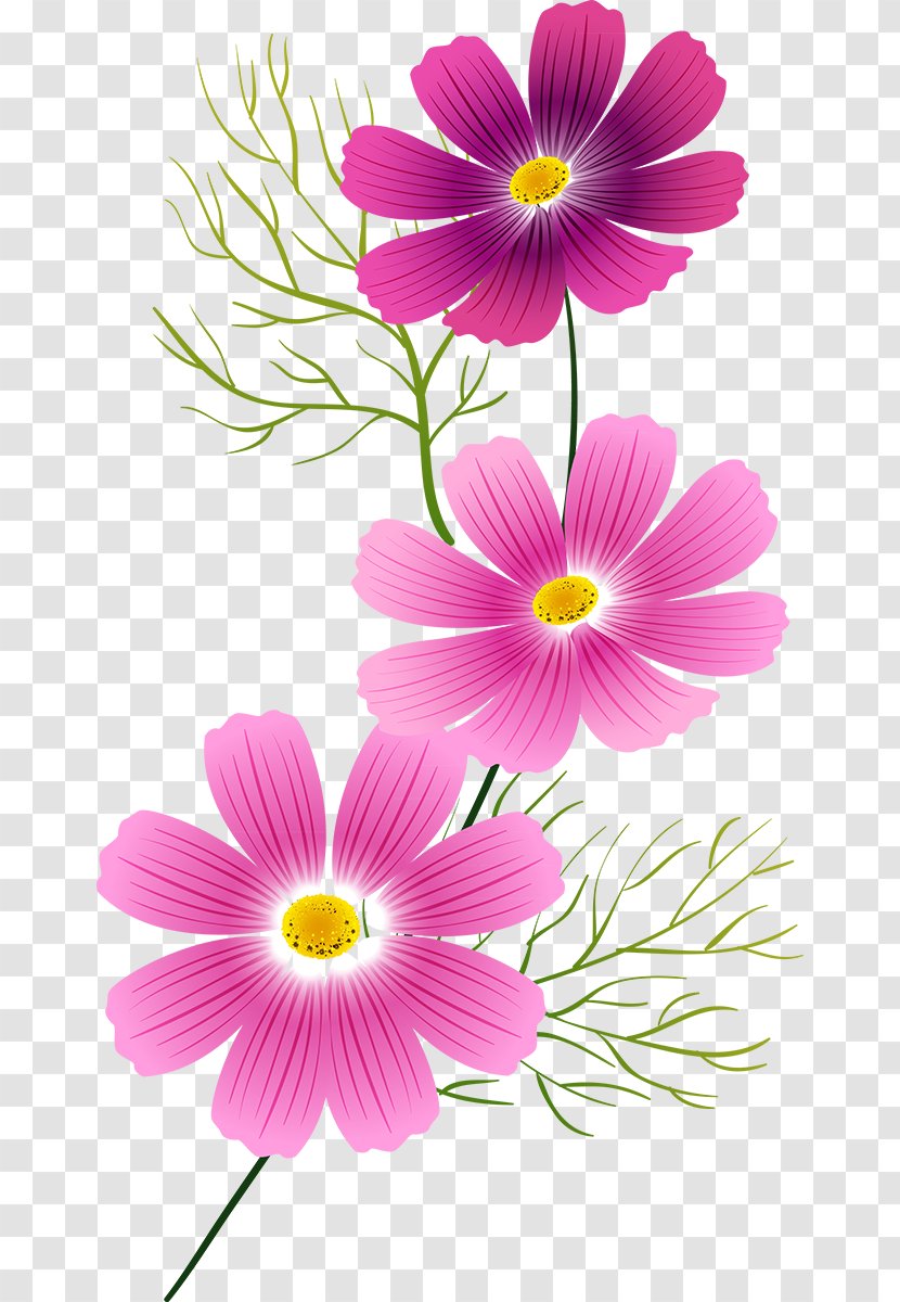 Flower Painting Clip Art - Flowering Plant Transparent PNG