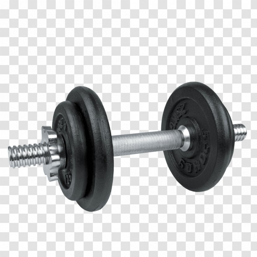 Dumbbell Weight Training Physical Fitness Exercise Aerobics - Sports Equipment - Hantel Transparent PNG