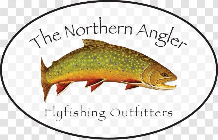 https://img1.pnghut.com/5/16/8/tqMR5SFt4h/tube-fly-bait-tying-waders-outfitter.jpg
