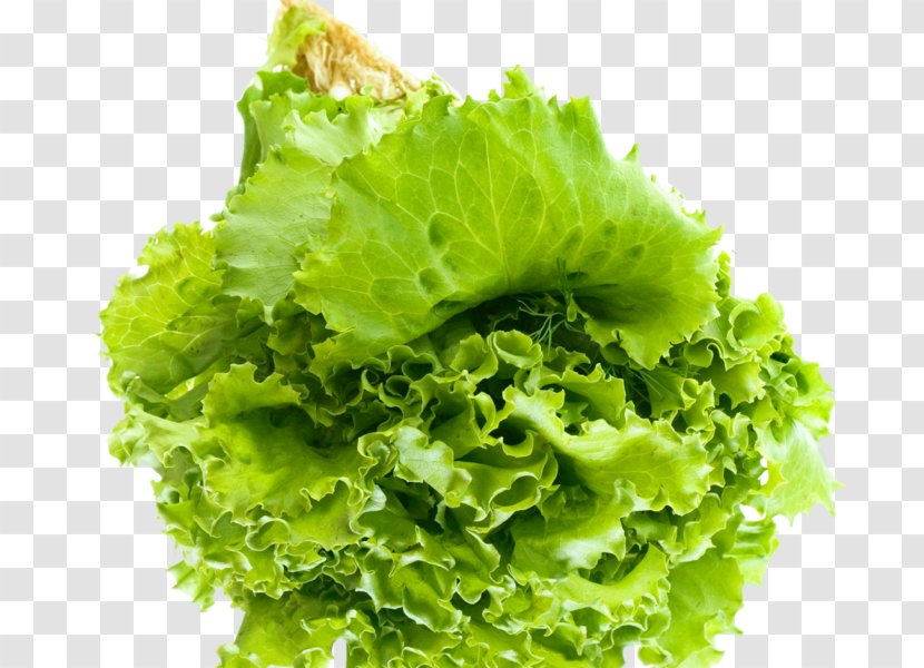 Greens Salad Vegetarian Cuisine Vegetable Endive - Romaine Lettuce Transparent PNG