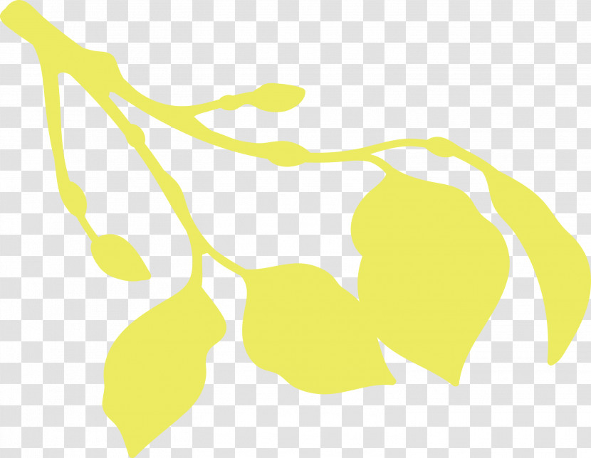 Leaf Yellow Line Meter Plants Transparent PNG