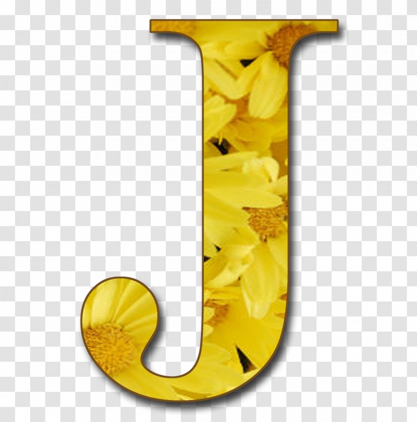 Letter Case Alphabet J Blog - Presentation Transparent PNG