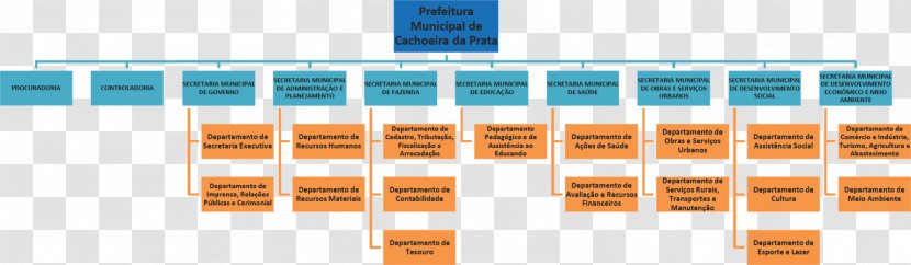 Organizational Chart Structure Business Statute Brand - Text - Height Ruler Transparent PNG