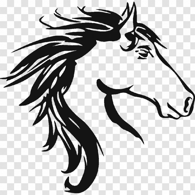 Mustang Friesian Horse Arabian Equestrian Stallion - Like Mammal - Exploding Head Transparent PNG