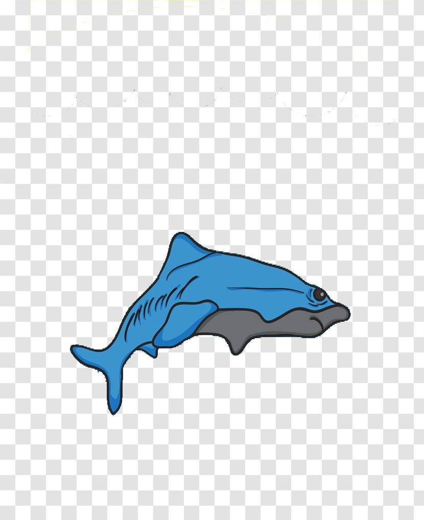 Dolphin Illustration - Wing - Whale Transparent PNG