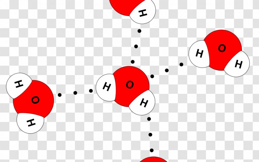 Hydrogen Bond Chemical Polarity Water Atom - Flower Transparent PNG