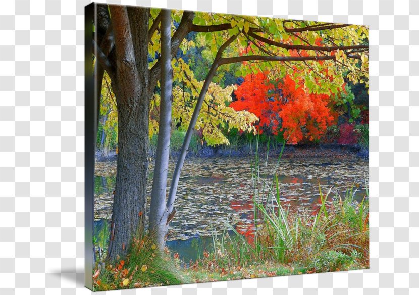 Painting Acrylic Paint Gallery Wrap Canvas Art - Branch Transparent PNG