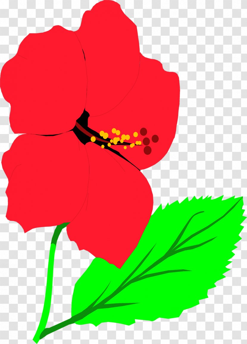 Animation Emotion Clip Art - Drawing - Hibiscus Transparent PNG