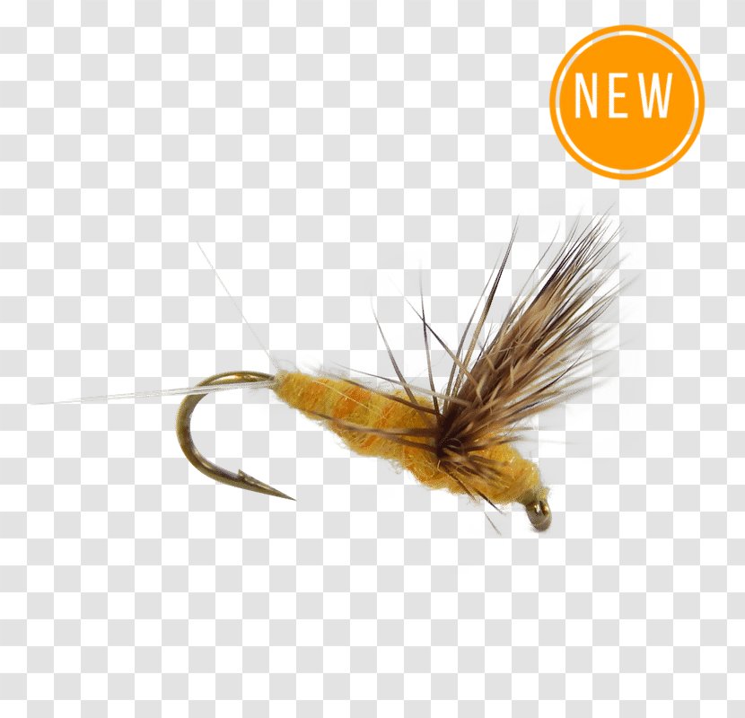 Dry Fly Fishing Trout Flies: Proven Patterns Essential Flies - Pterygota Transparent PNG