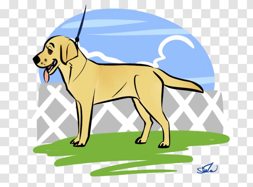 Labrador Retriever Puppy Dog Breed Sporting Group - Tail - Conformation Show Transparent PNG