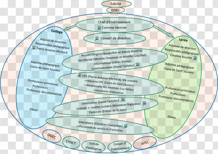 Water Diagram Organism Line - Joint Transparent PNG