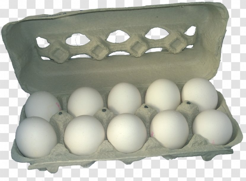 Chicken Egg Carton - White - Roll Transparent PNG
