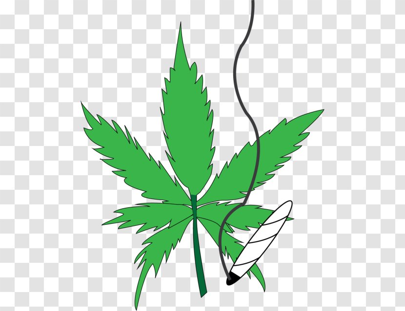 Medical Cannabis Kush Leaf Clip Art - Drug Transparent PNG