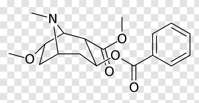 Chemical Compound Substance Enzyme Inhibitor Chemistry CAS Registry Number - Tree - Frame Transparent PNG