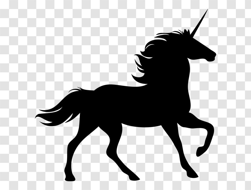 Horse Pony Rearing - Unicorn Transparent PNG