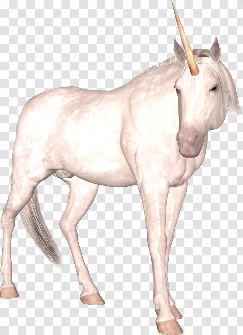 Horse The Lady And Unicorn Illustration - Editing Transparent PNG