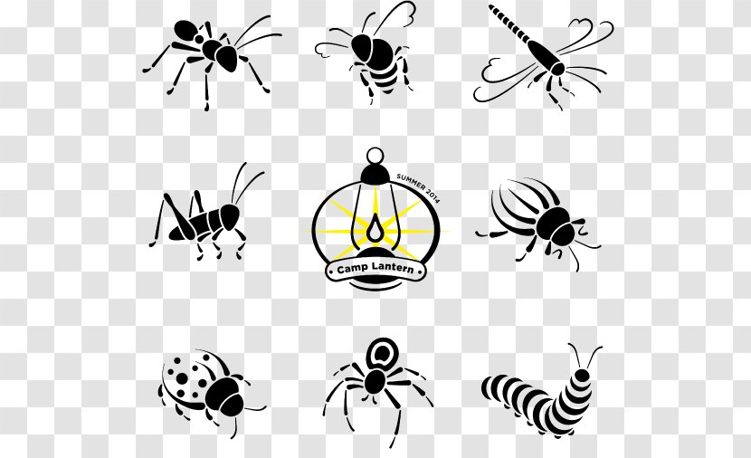 Honey Bee Line Art Cartoon Clip - White Transparent PNG