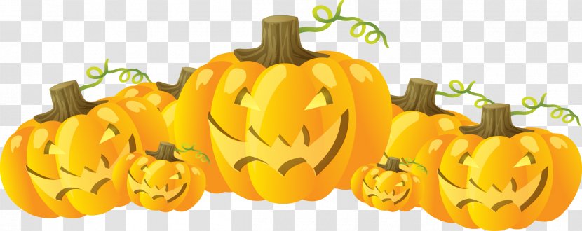 Pumpkin Halloween Jack-o-lantern Party - Cucurbita - Horror Vector Material Transparent PNG