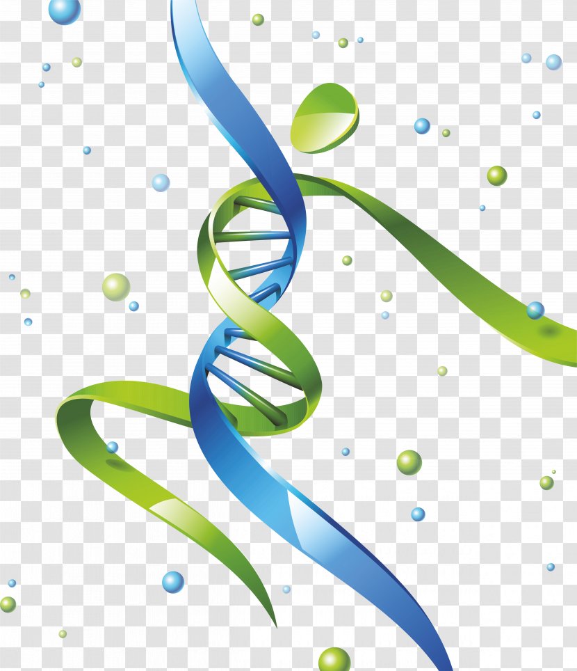 DNA Nucleic Acid Double Helix Gene Homo Sapiens - Organism - Pills Transparent PNG