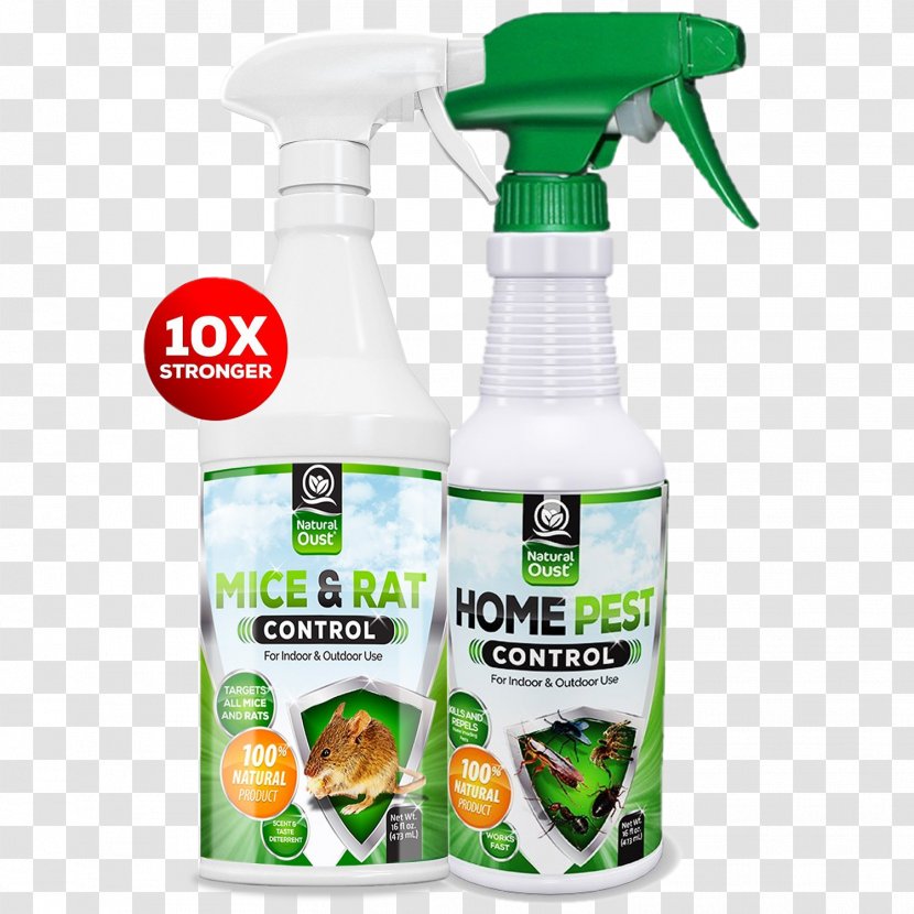Mouse Cockroach Ant Rodent Household Insect Repellents - Rat Transparent PNG