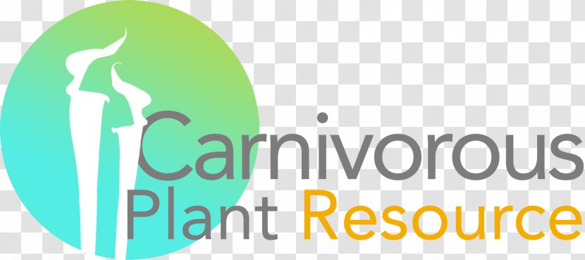 Carnivorous Plant Resource Byblis Drosera - Communication Transparent PNG