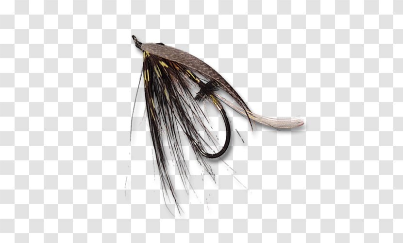 Blue Eared Pheasant White Spey Casting Feather Transparent PNG
